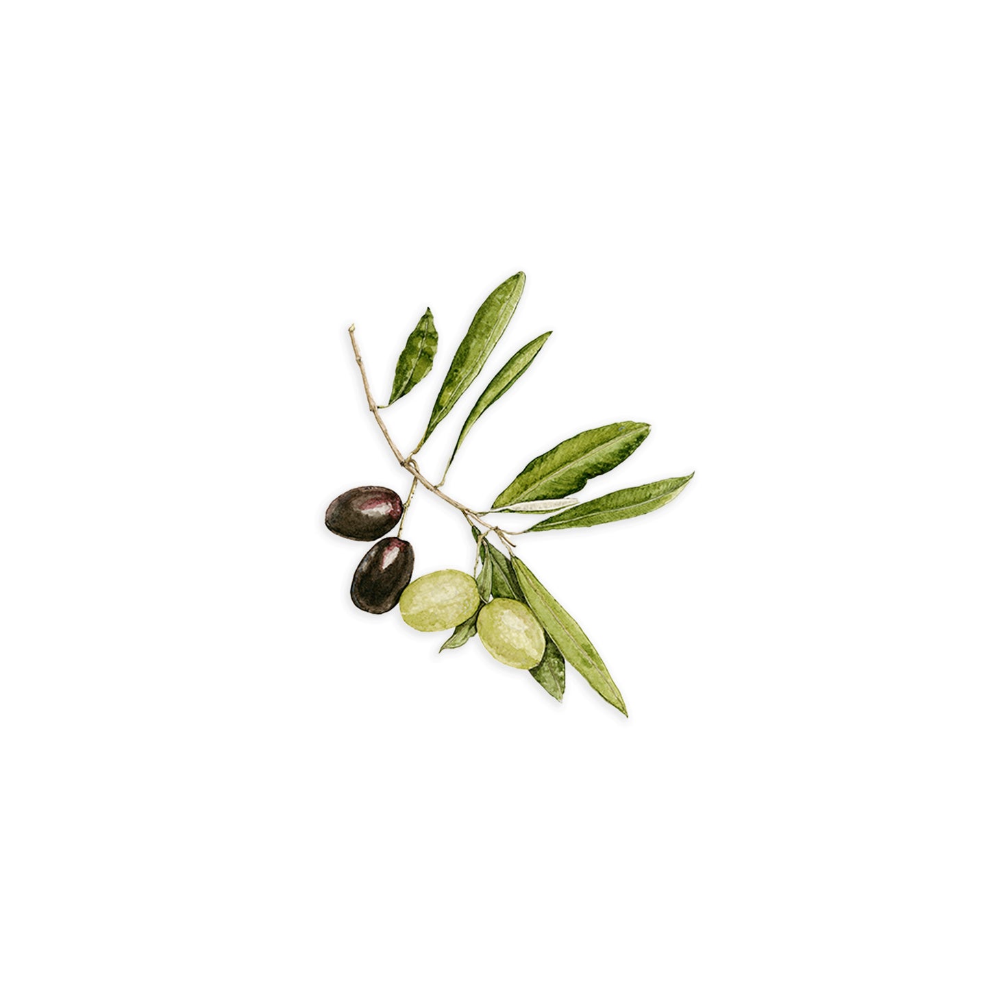 Olives