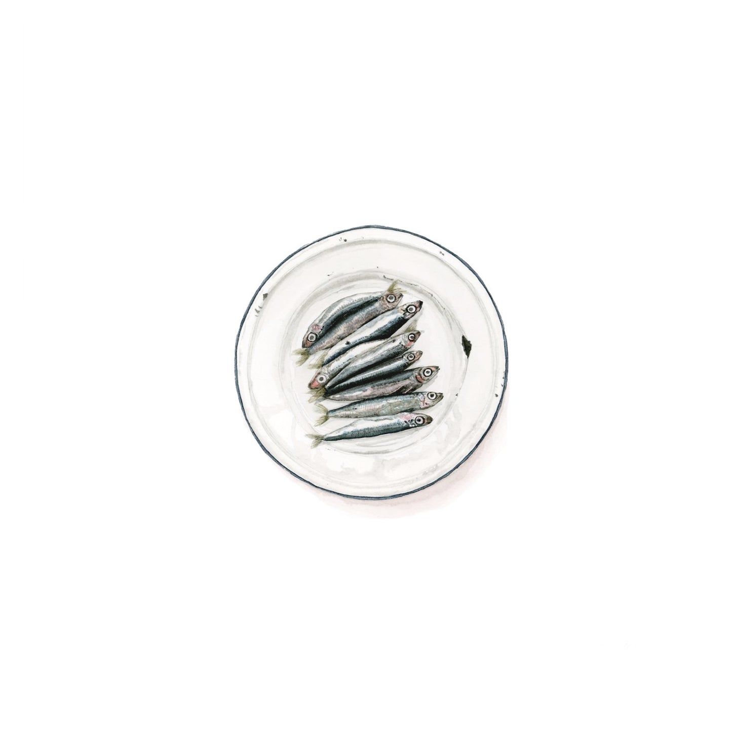 Anchovies