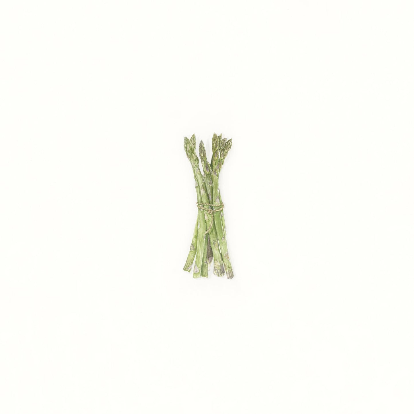 Tied Asparagus