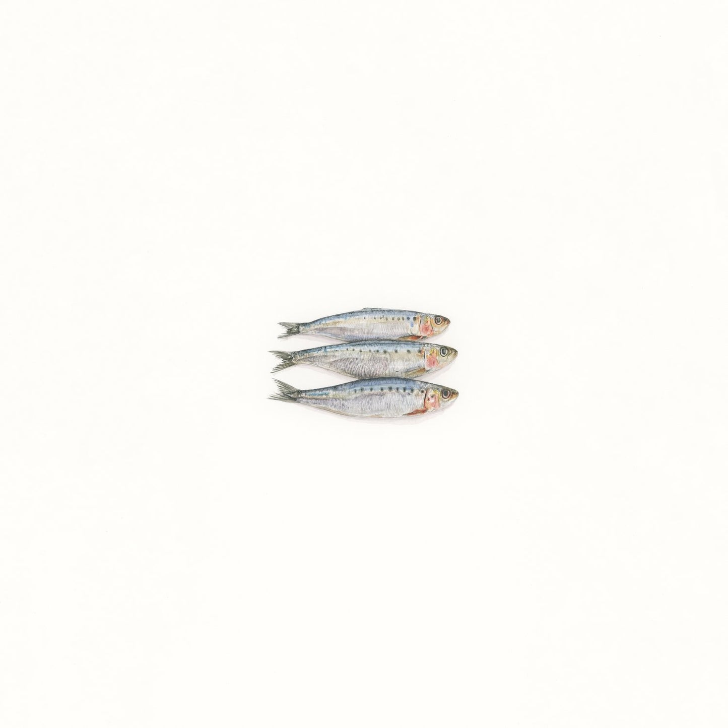 Trois Poissons