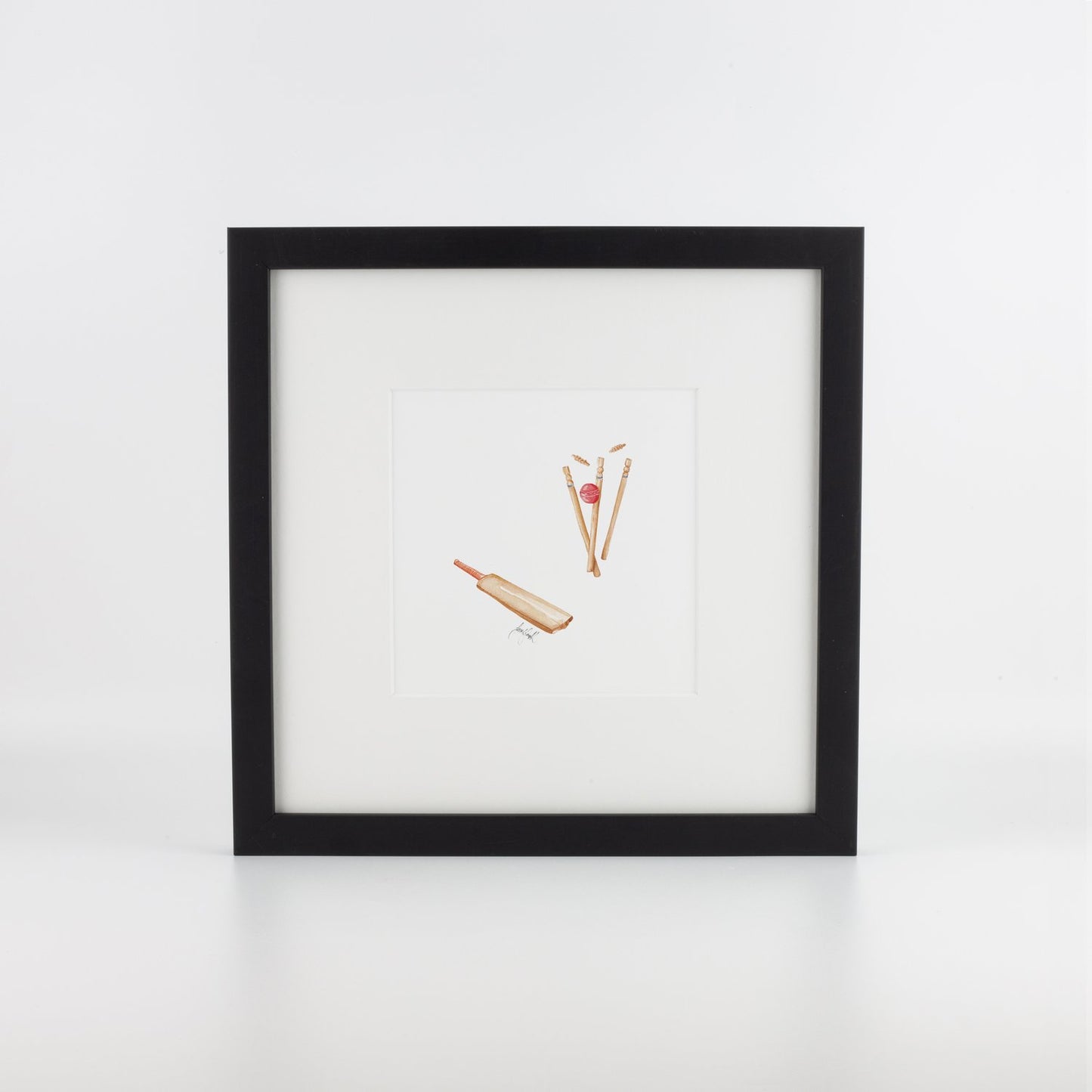 Cricket Bat, Ball & Stumps