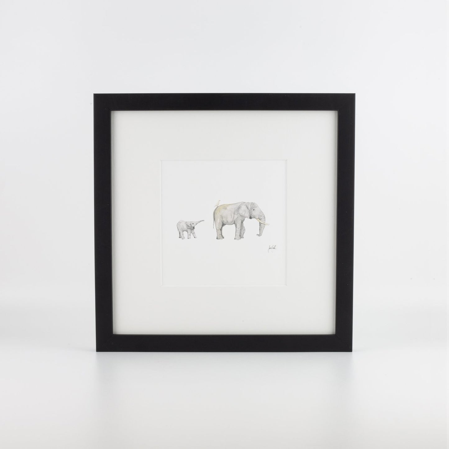 Elephant & Calf