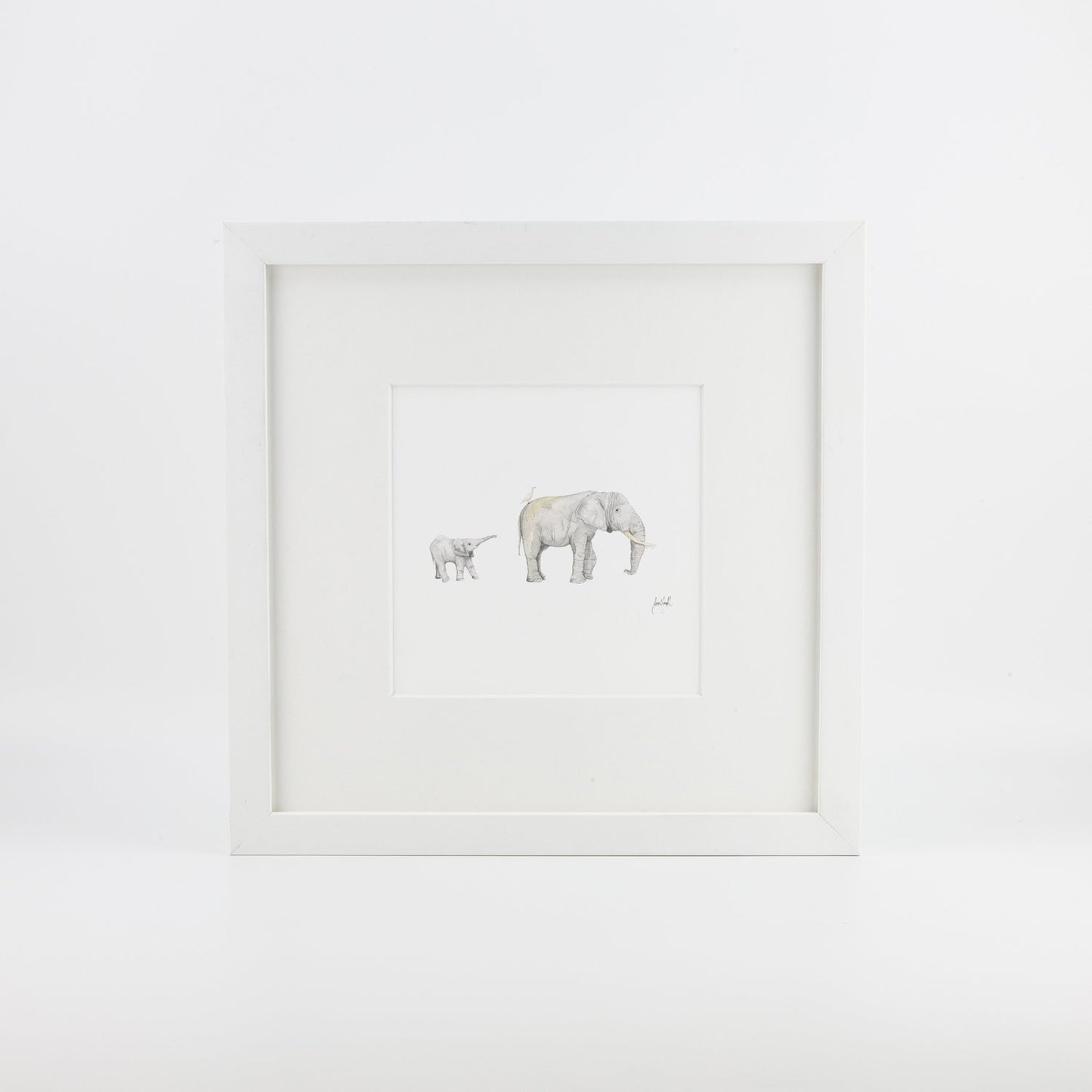 Elephant & Calf