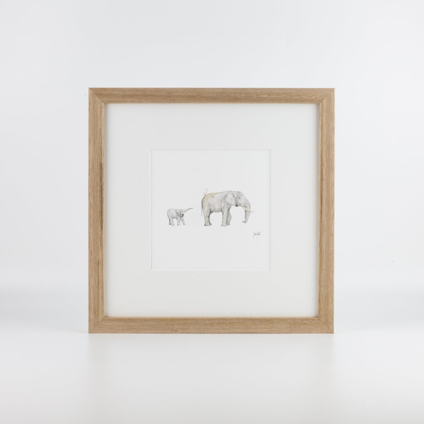 Elephant & Calf