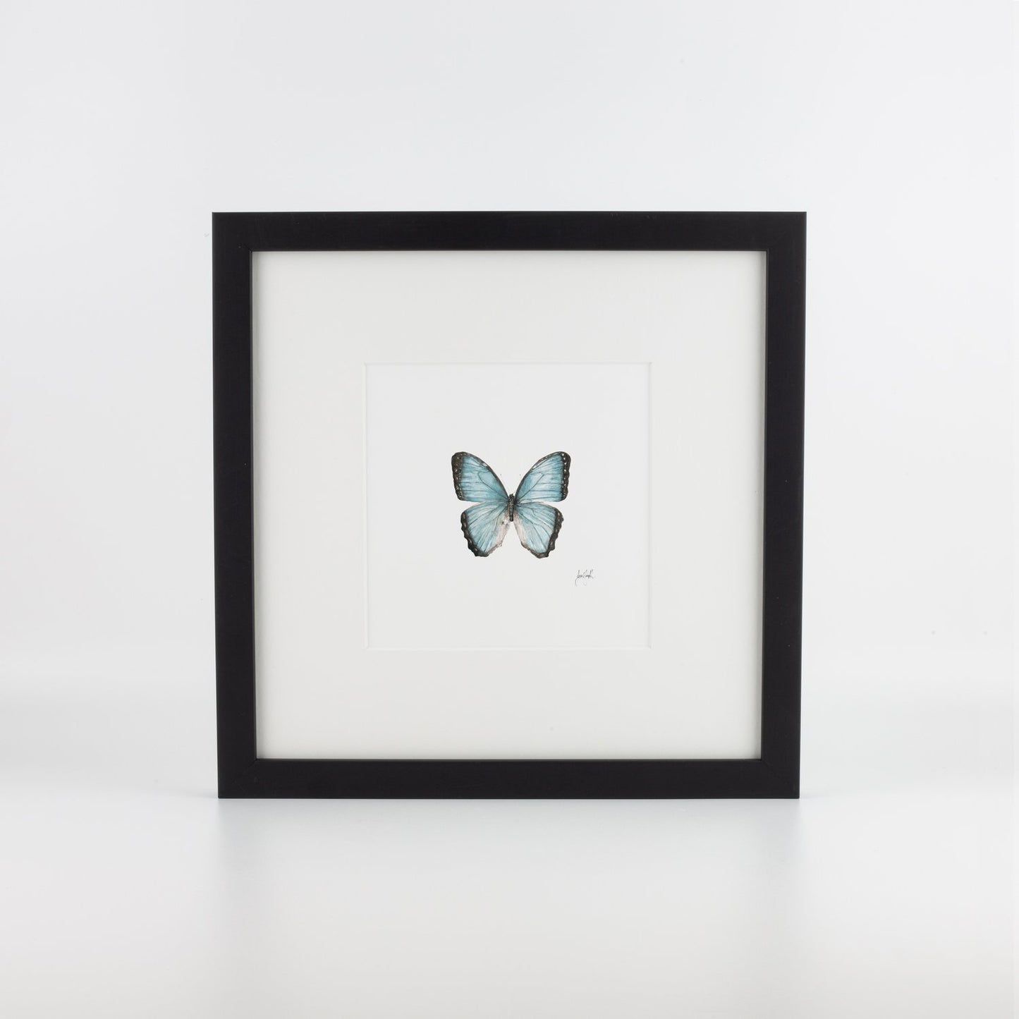 Blue Butterfly
