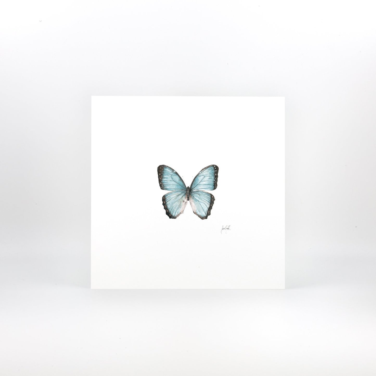 Blue Butterfly