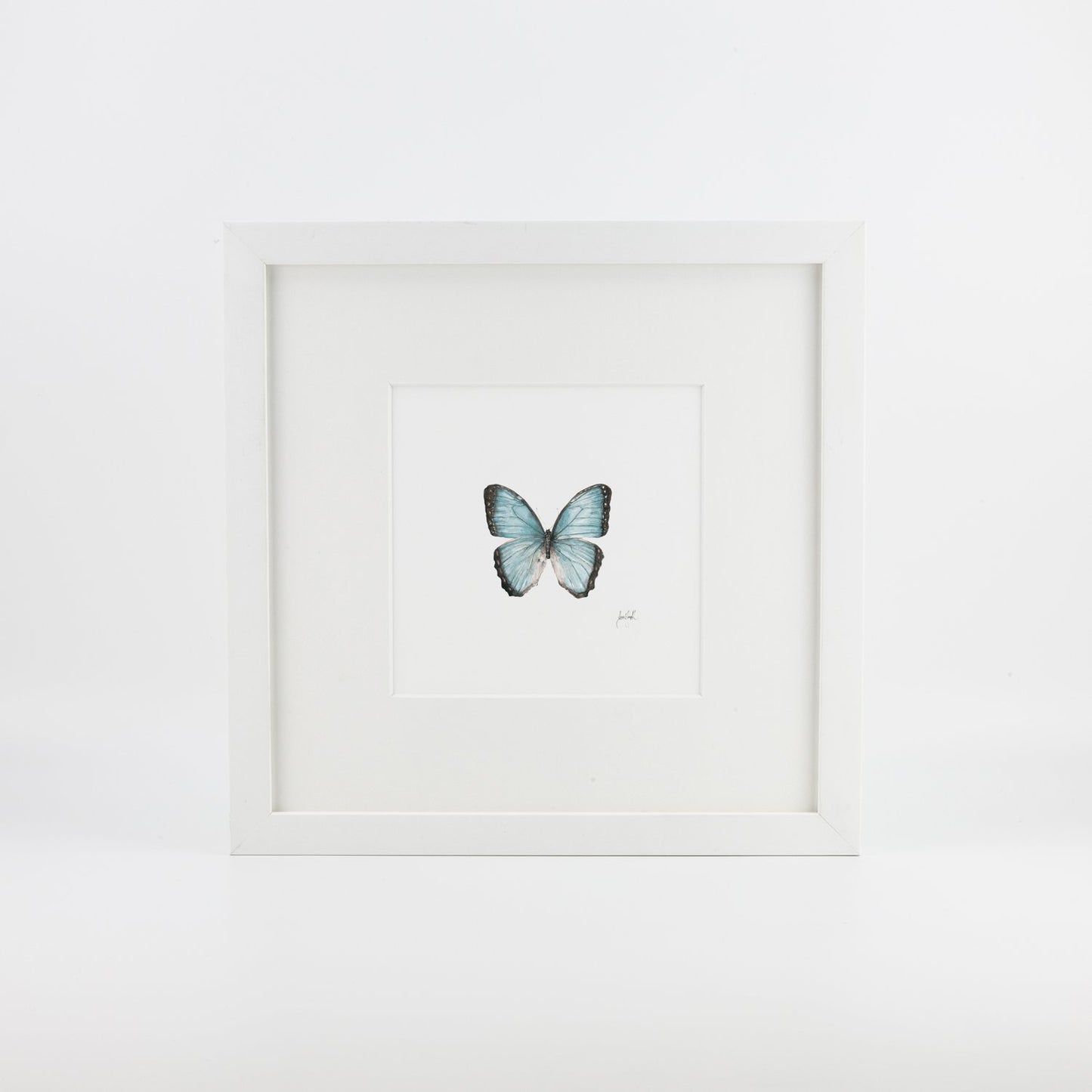 Blue Butterfly