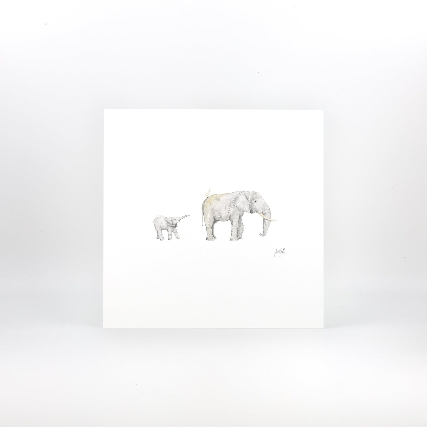 Elephant & Calf