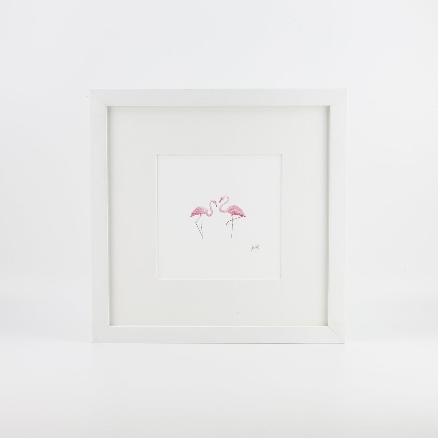 Flamingos