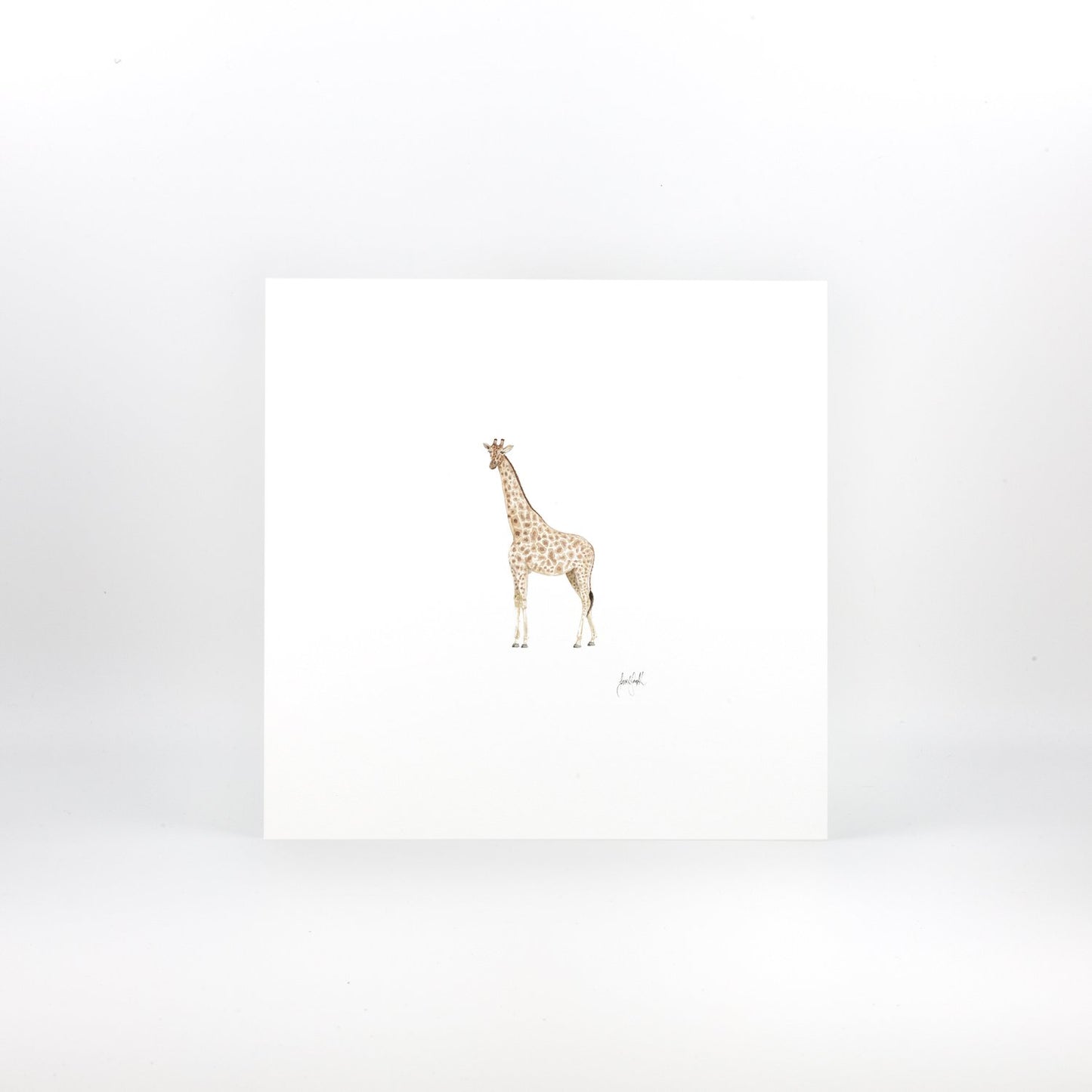 Giraffe