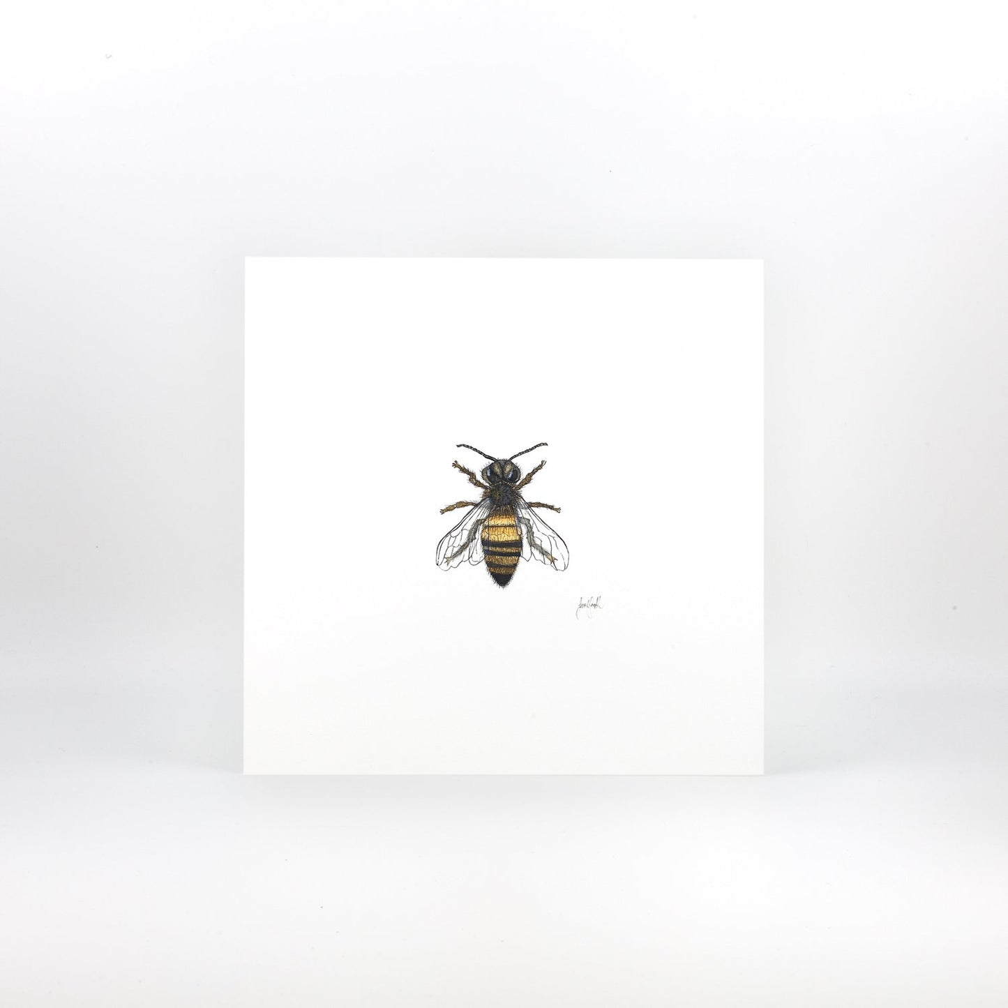 Honey Bee