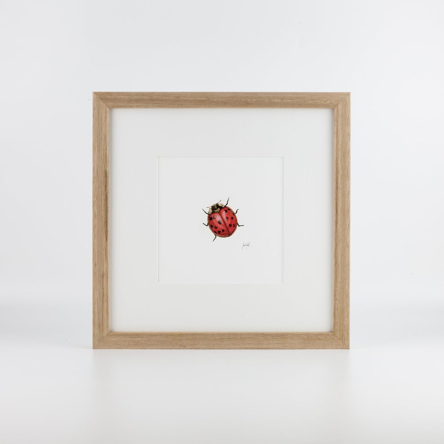 Ladybird