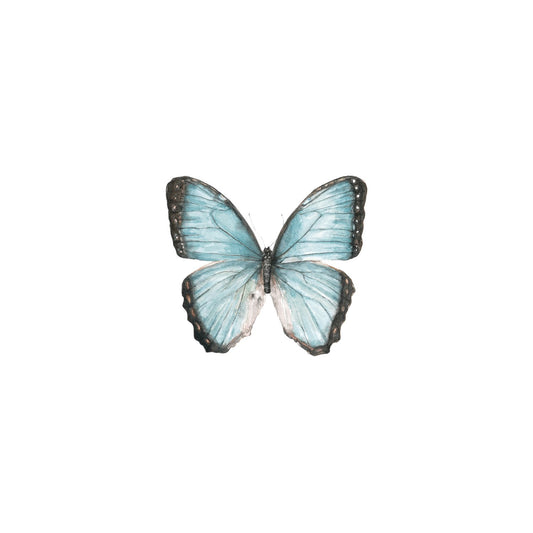 Blue Butterfly