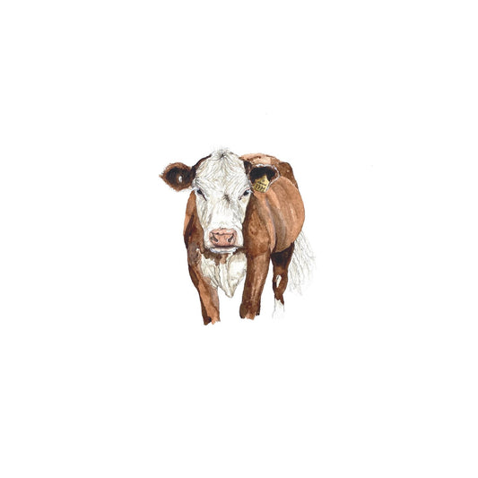 Cow