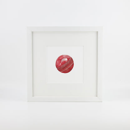 Cricket Ball