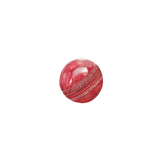 Cricket Ball