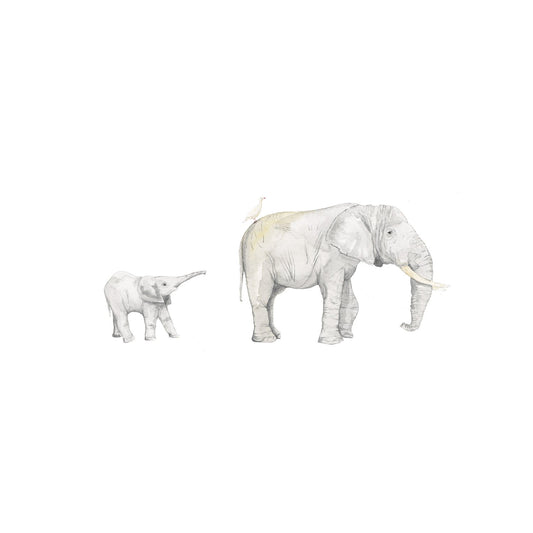 Elephant & Calf