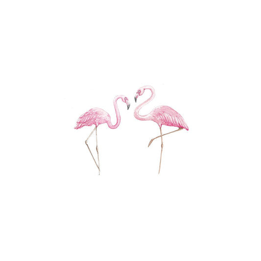 Flamingos