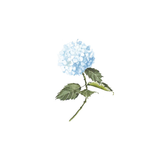 Blue Hydrangea