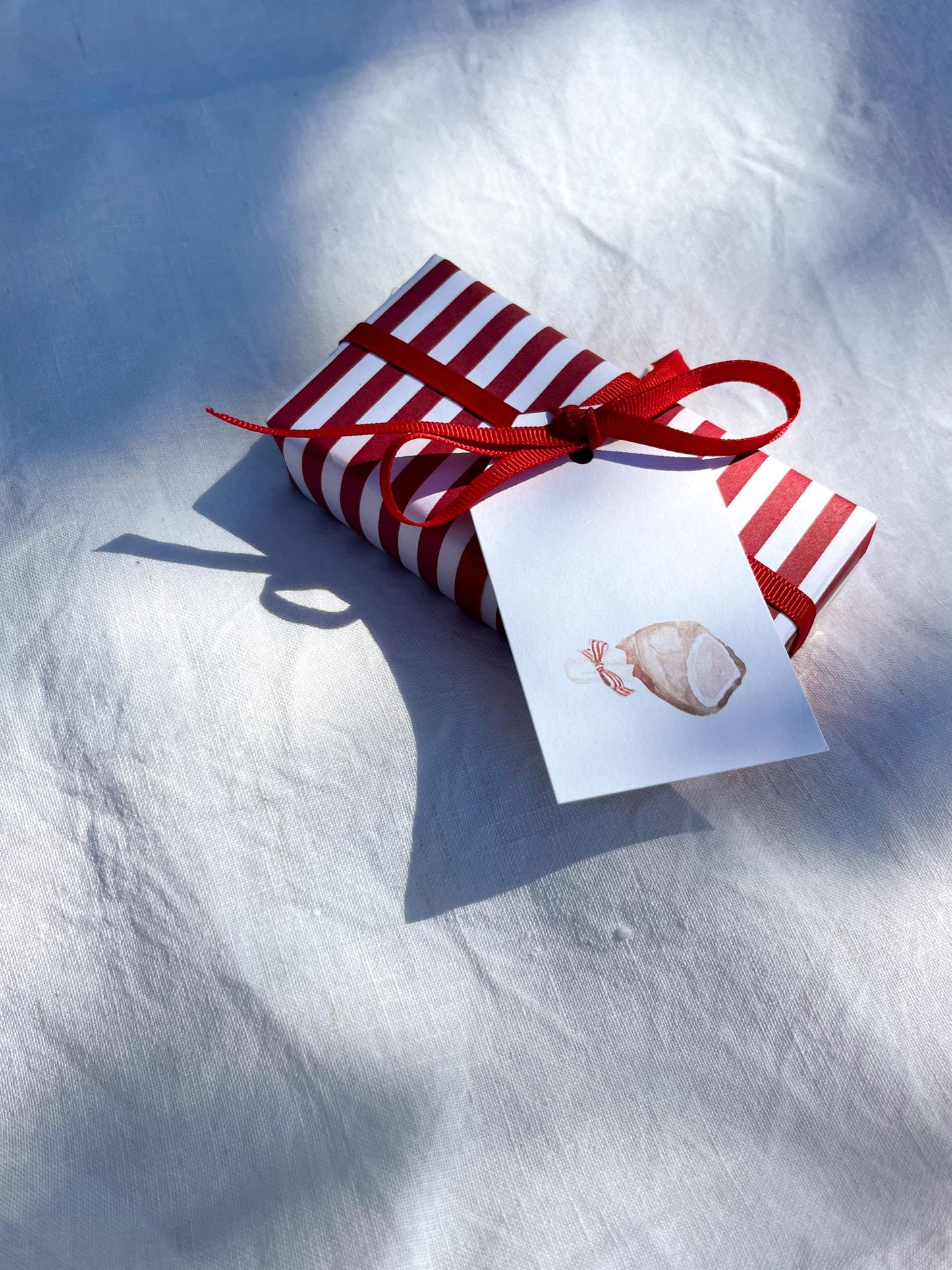 Australian Summer Themed Gift Tags 8 Pack