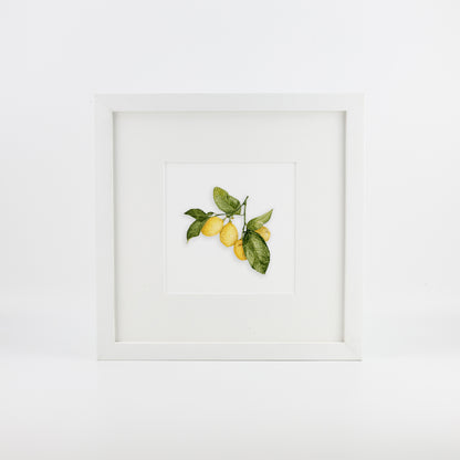 Lemons