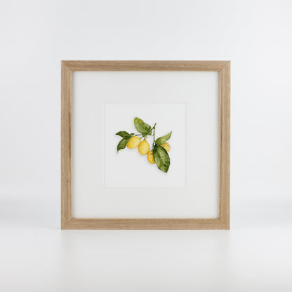 Lemons