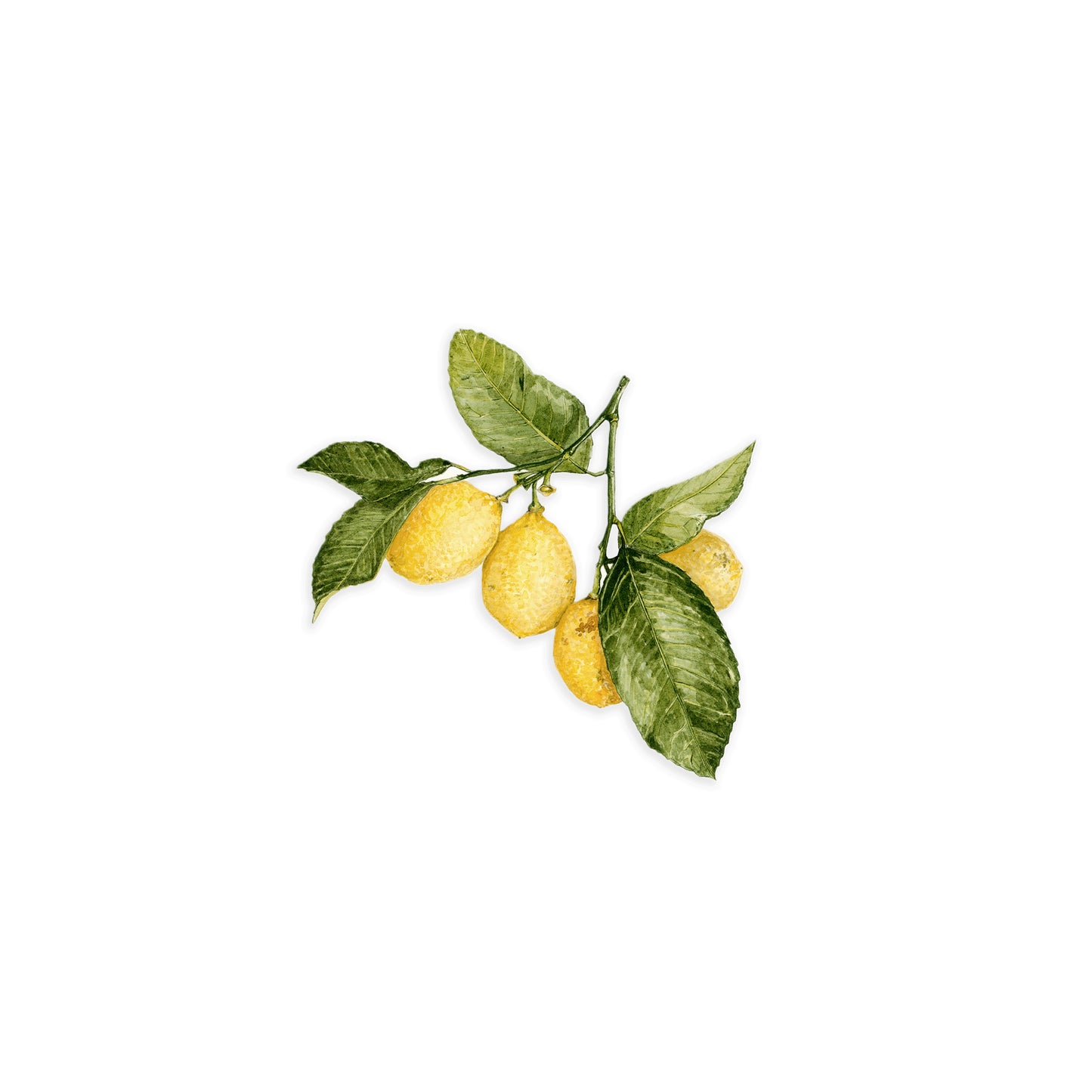 Lemons