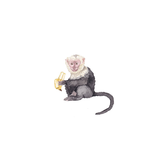 Monkey