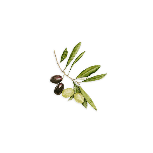 Olives