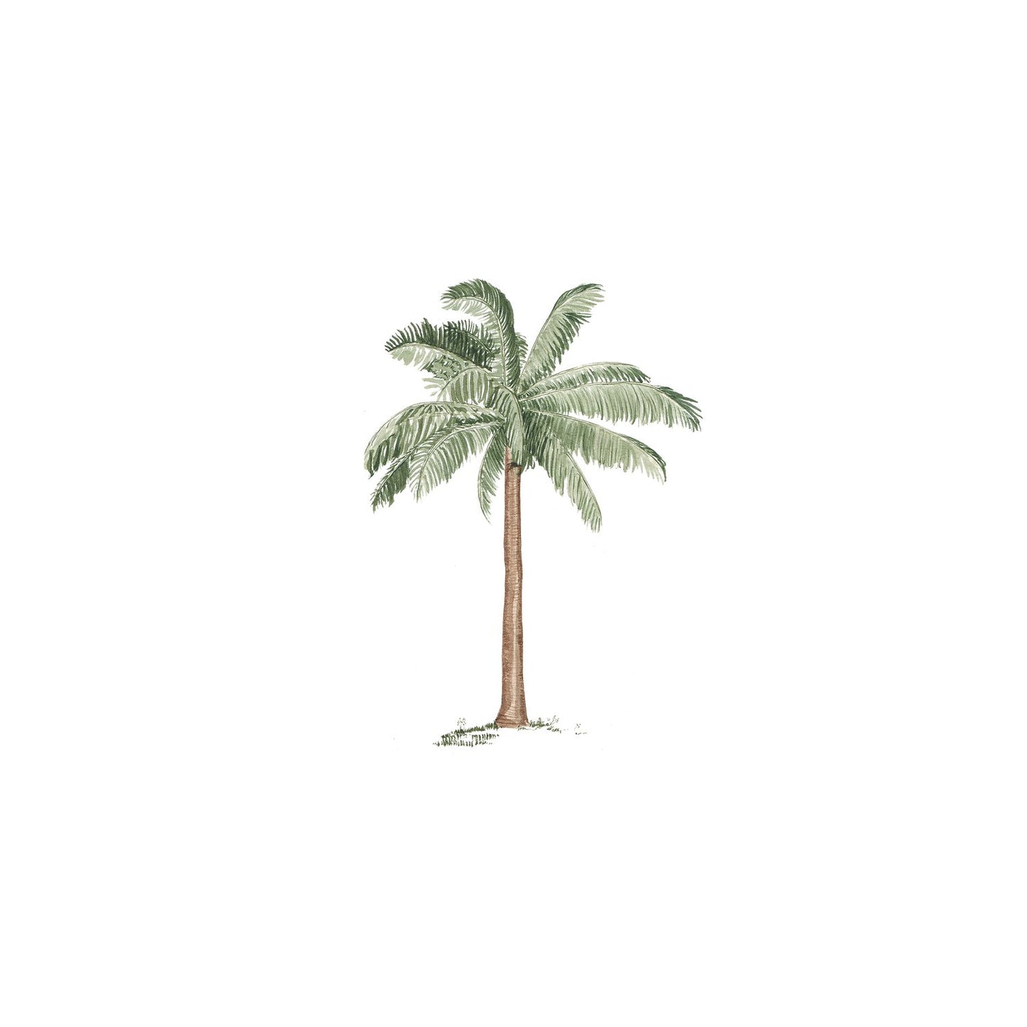 Palm
