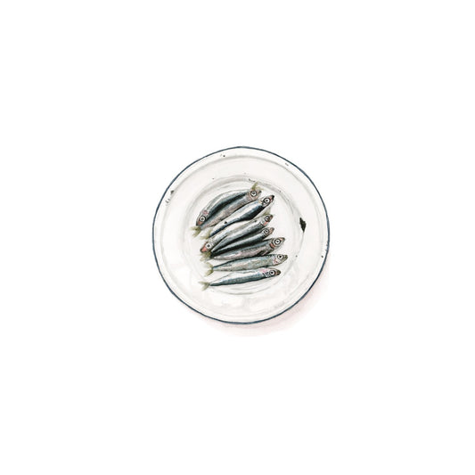 Anchovies