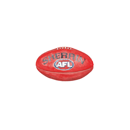 AFL Footy