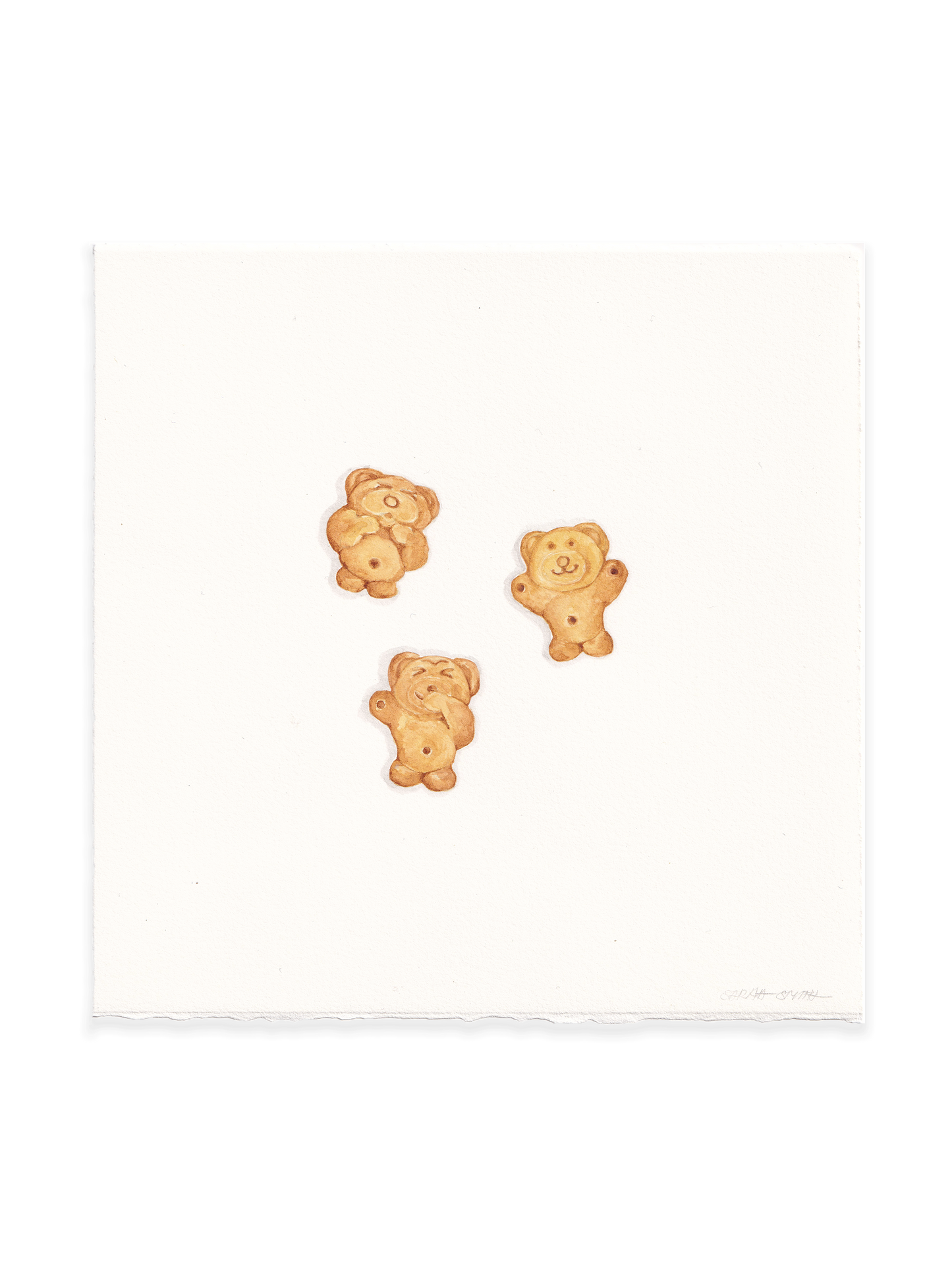 Tiny Teddies