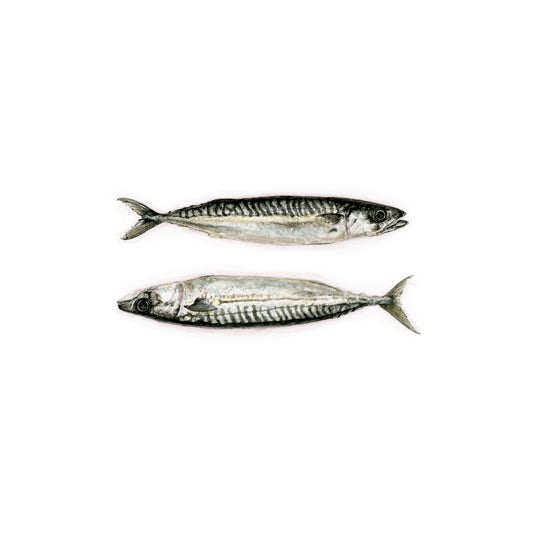Two Fish