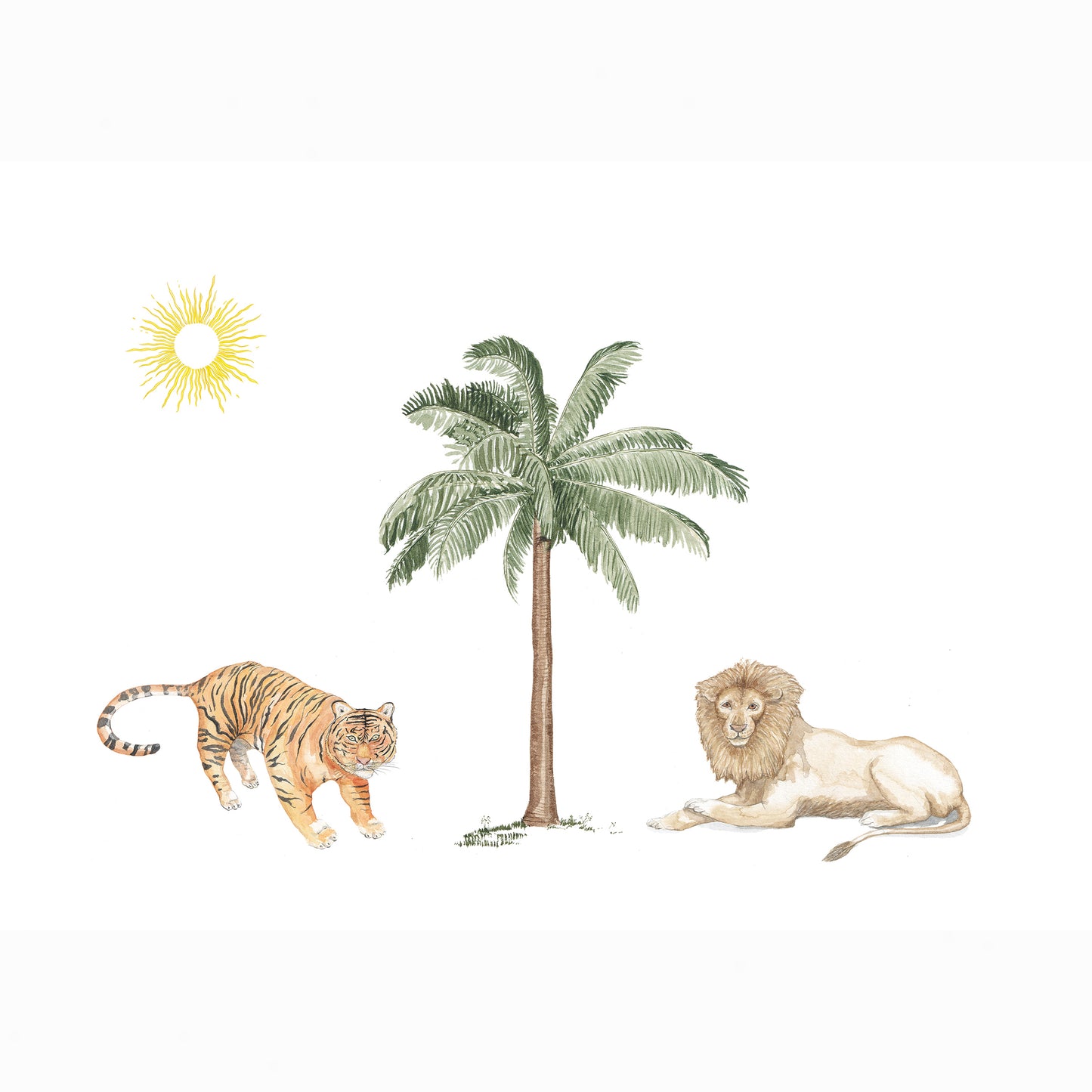 Safari & Jungle Animal Collection