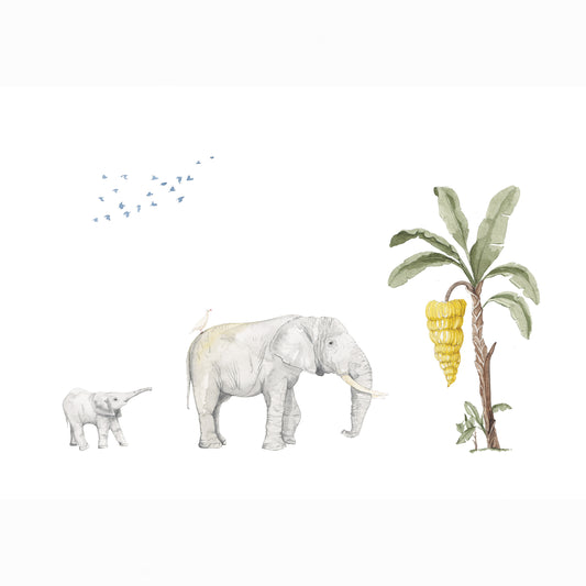 Safari & Jungle Animal Collection