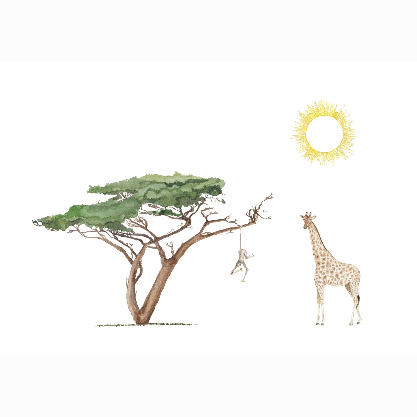 Safari & Jungle Animal Collection