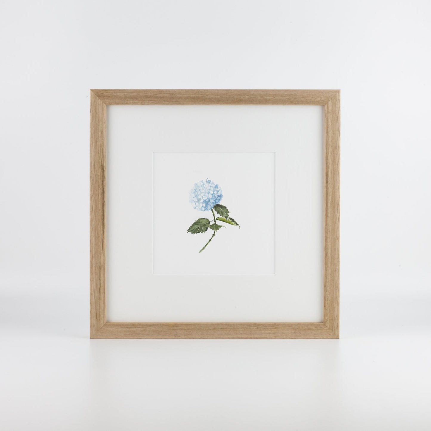 Blue Hydrangea