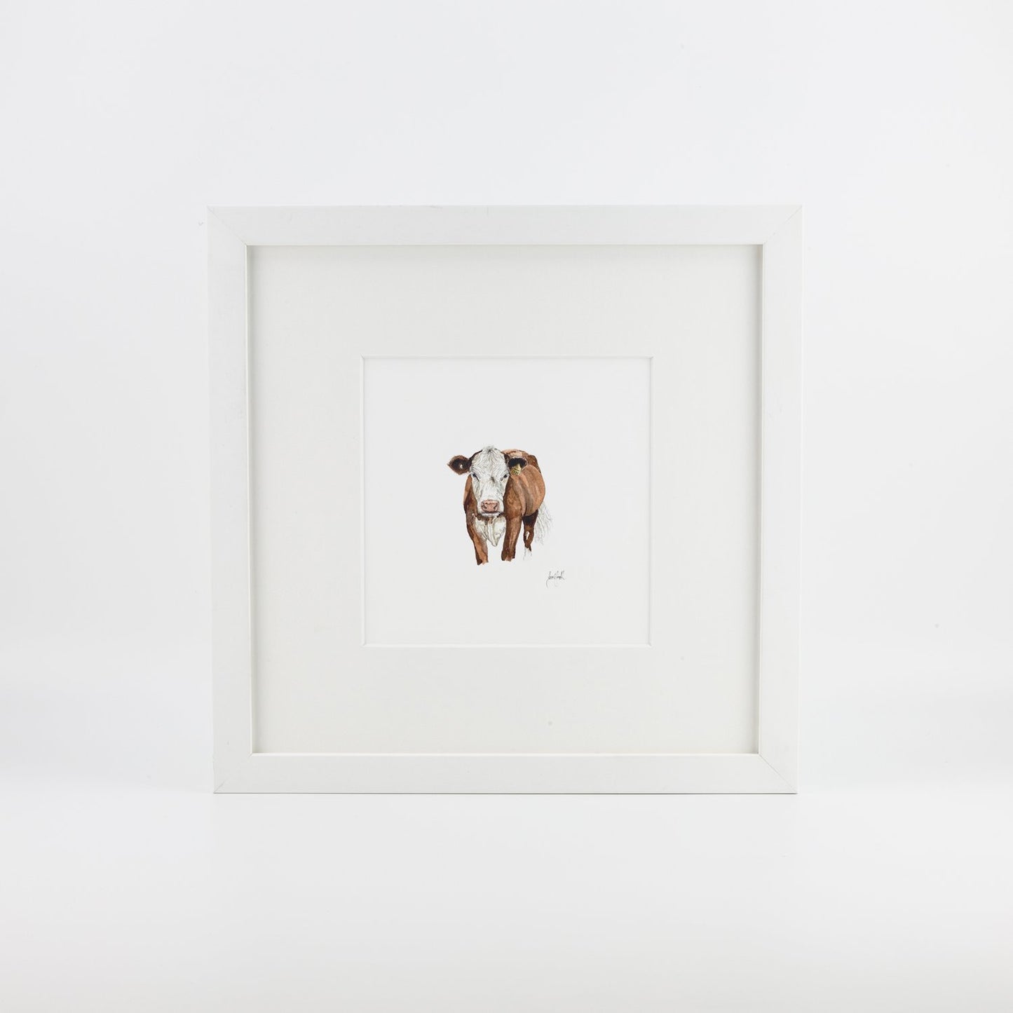 Cow