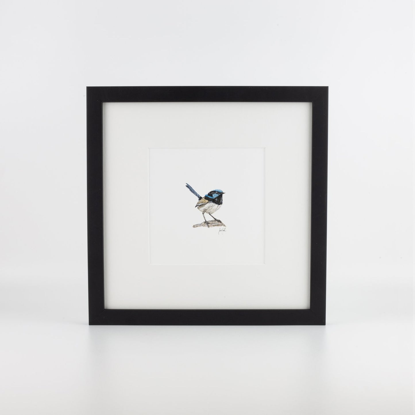 Fairy Wren
