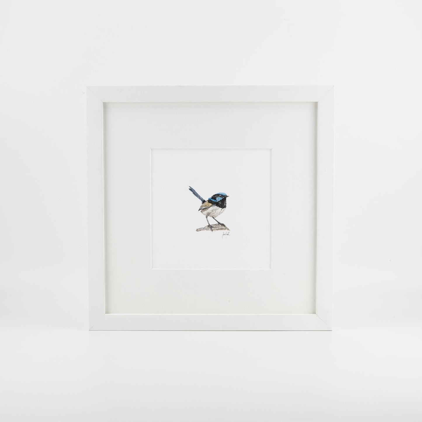 Fairy Wren