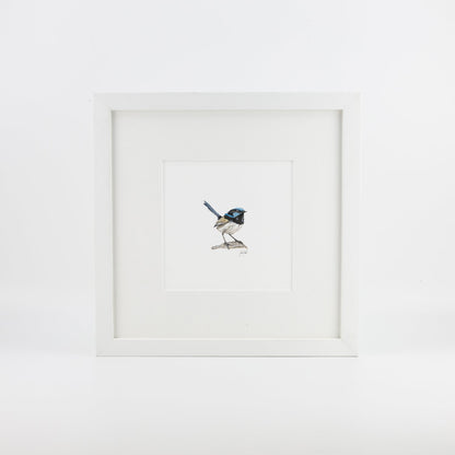 Fairy Wren