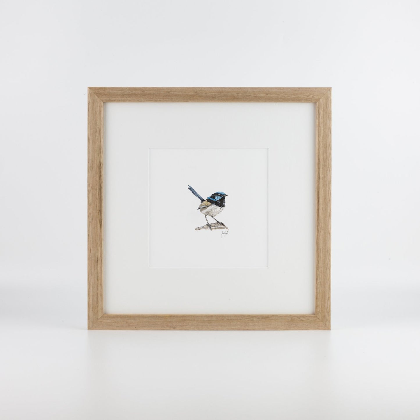 Fairy Wren