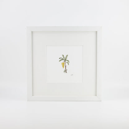 Banana Palm
