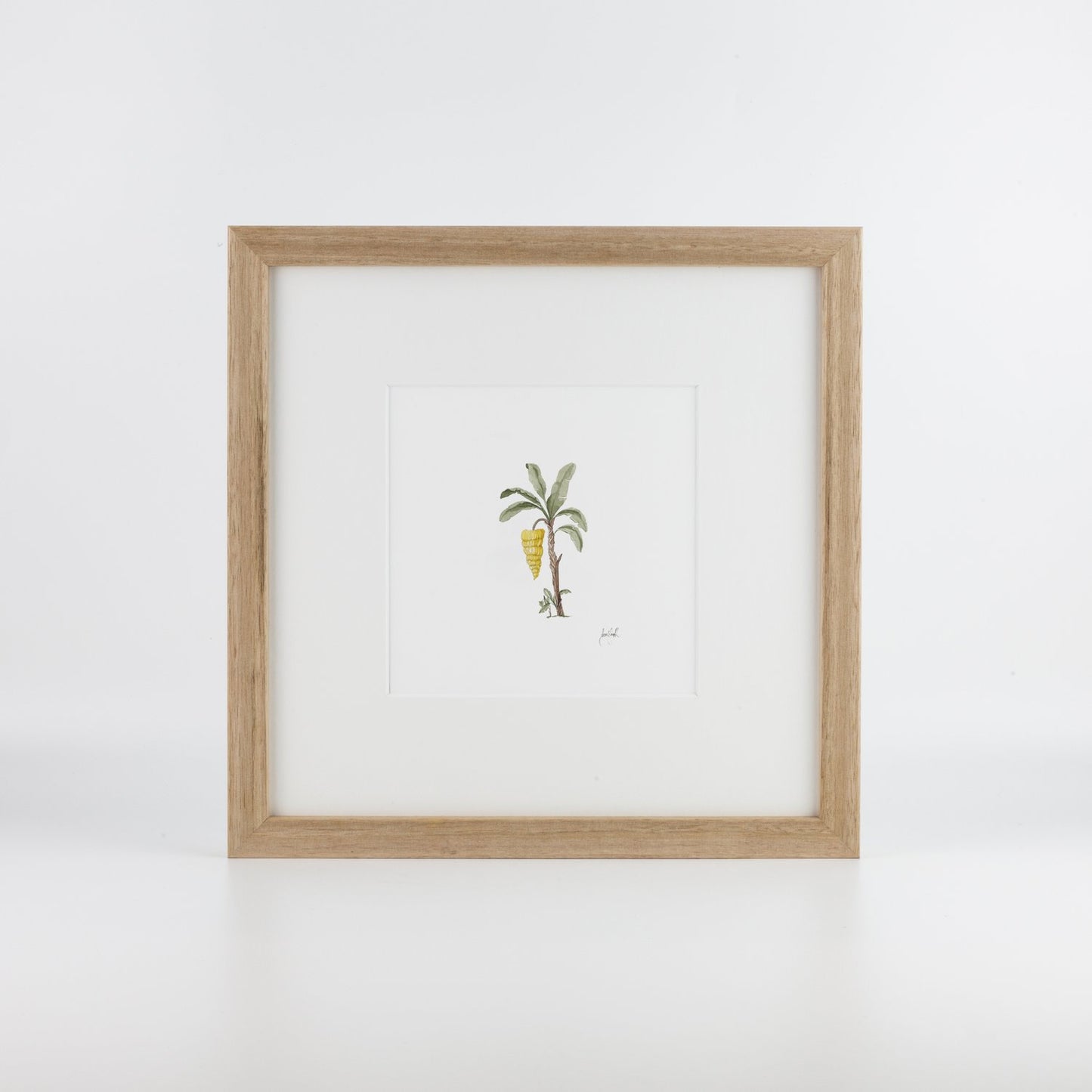 Banana Palm