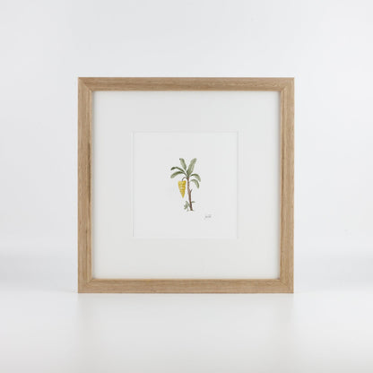 Banana Palm