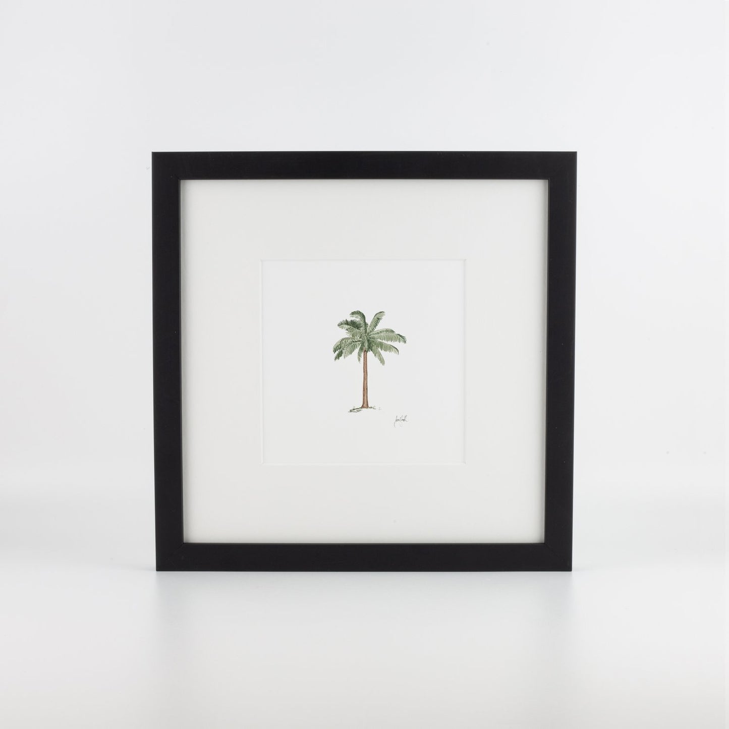 Palm