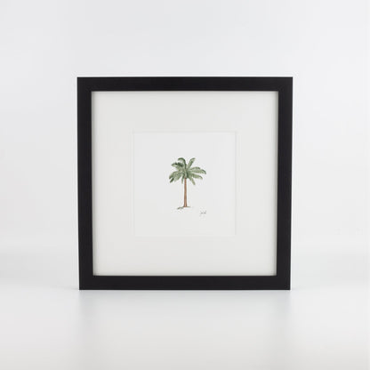 Palm