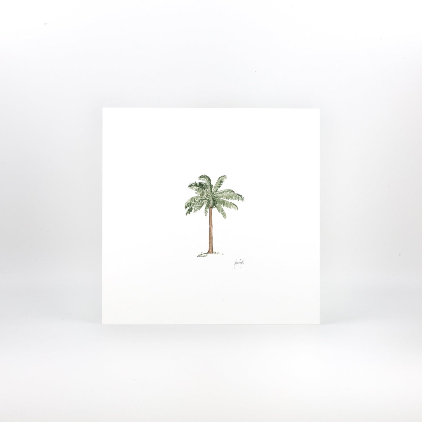 Palm