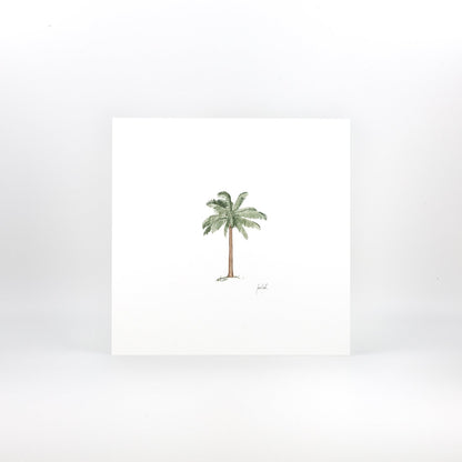 Palm